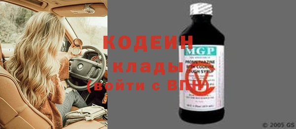 дмт Елизово
