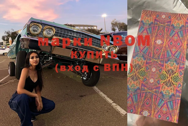 дмт Елизово