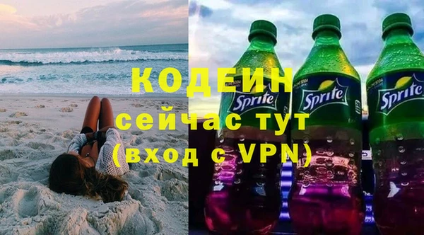 дмт Елизово
