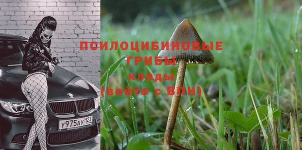 гашиш Ельня