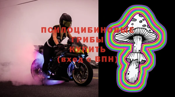 spice Елабуга