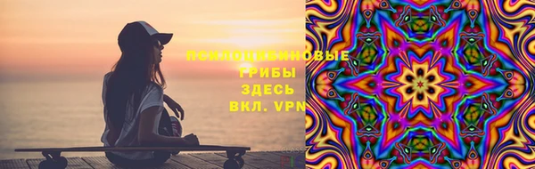 дмт Елизово