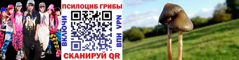 Галлюциногенные грибы Cubensis закладка Судак